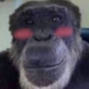 Meet your Posher, Ray